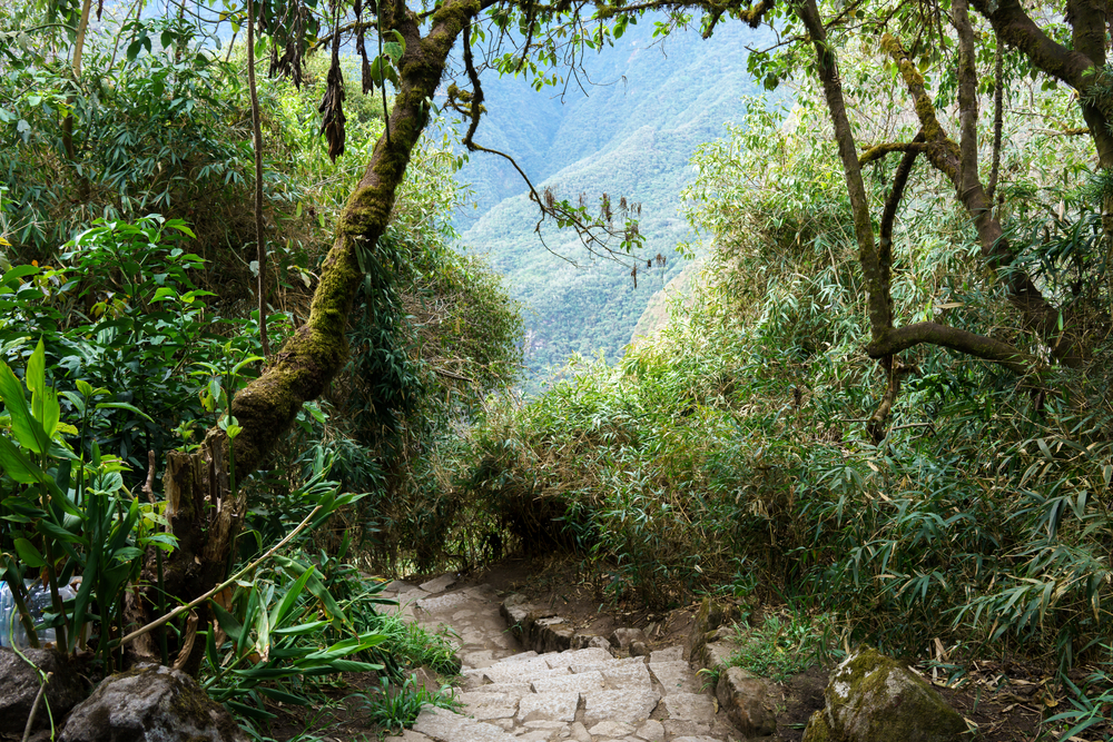 The Inca Trail