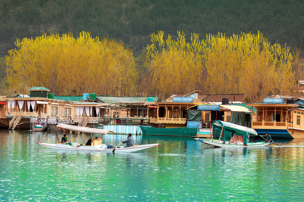 Lake Dal - Kashmir