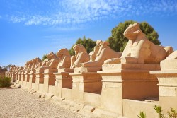 Avenue of Rams in Karnak Temple, Karnak, Egypt