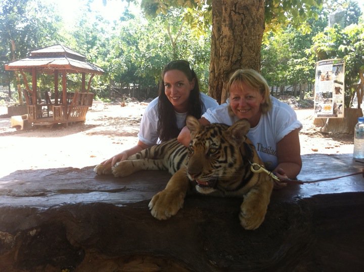 Tiger Temple, Thailand