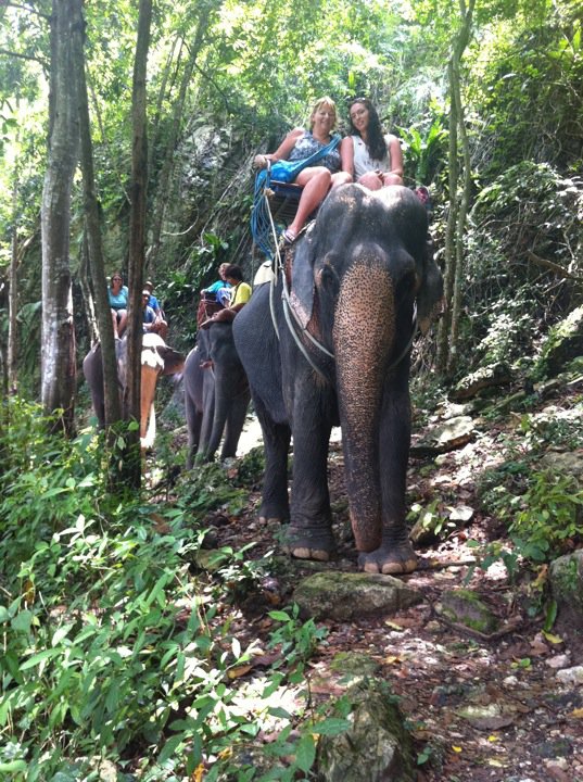 Elephent Trek - Thailand Koh Samui