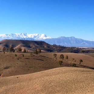 Snow capped Atlas Mountains