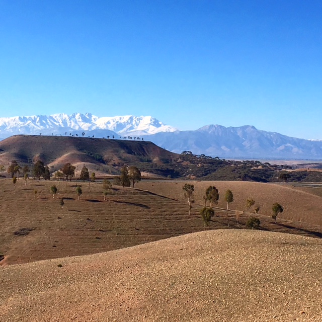 Snow capped Atlas Mountains